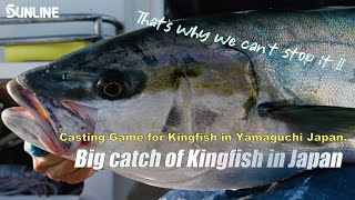 【Big catch of King fish】Casting Game for Kingfish in Yamaguchi Japan.