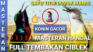 Download lagu Konin gacor full tembakan ciblek - Masteran handal konin gacor satu titik mp3
