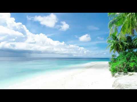 White sand beach and palm trees Meditation music