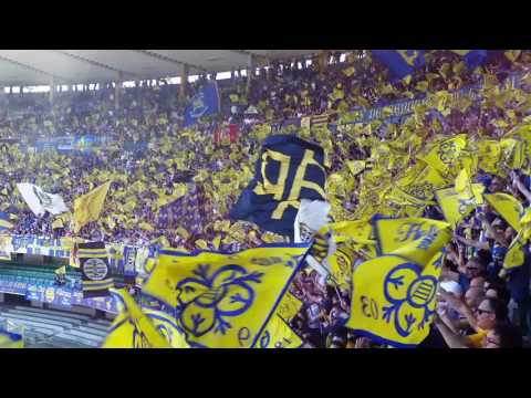 Forza Verona gialloblu