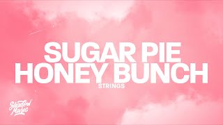 STRINGS - Sugar Pie Honey Bunch (Lyrics)