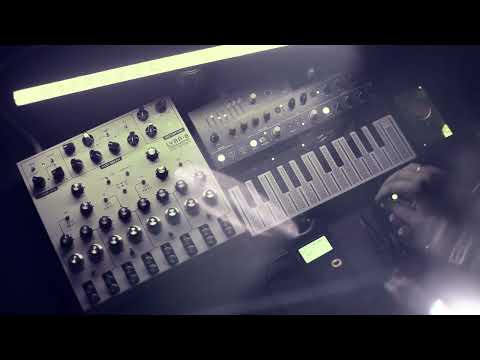 SOMA Lyra-8 / ARTURIA MicroFreak / Zen Audio VOSKHOD-2 / by GIPNOZER