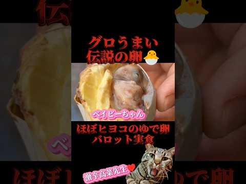 ヘッドルーム