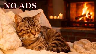 Download lagu Cats Calming Music😺Relaxing Music and Purring Cats for Deep Sleep & Anti Separation Anxiety Relief mp3