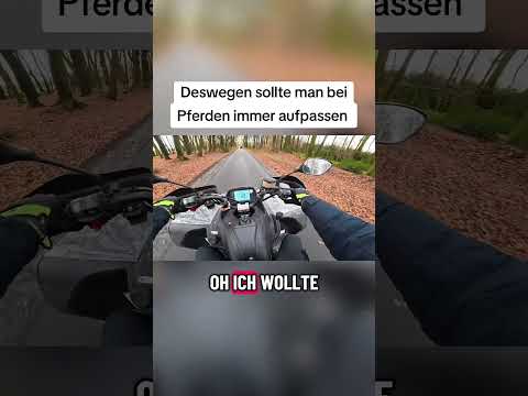 Pferde erschrecken sich schneller als man denkt #motovlog #pferde #verkehr #quad