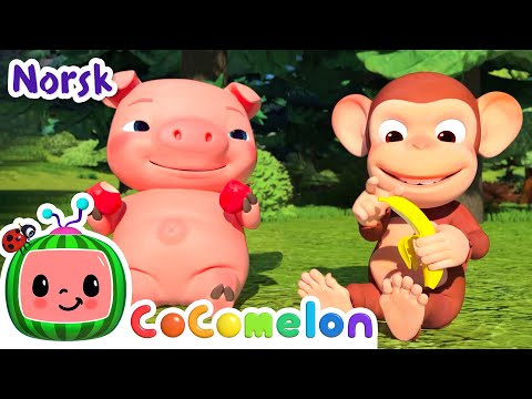 Epler og bananer | Vuggesanger for Babyer | CoComelon Norsk