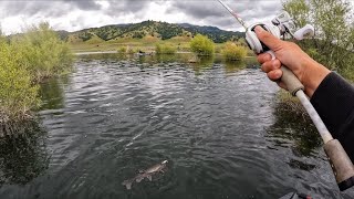 The most fun I’ve had fishing in 2025