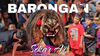Download lagu TERBARU ‼️FULL BARONGAN SEKAR AJI | Live Ringinarum - Kendal 23 November 2024 mp3 Download lagu TERBARU ‼️FULL BARONGAN SEKAR AJI | Live Ringinarum - Kendal 23 November 2024 mp3