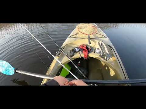 Fishing in Taunton MA 2023