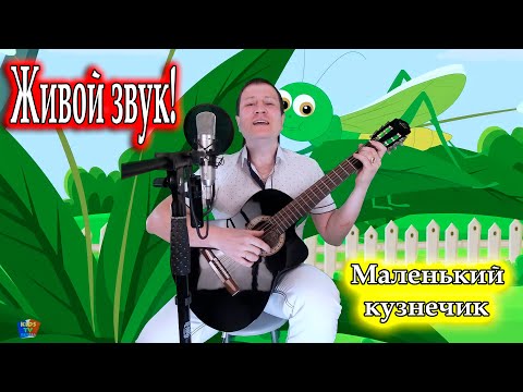 Маленький кузнечик