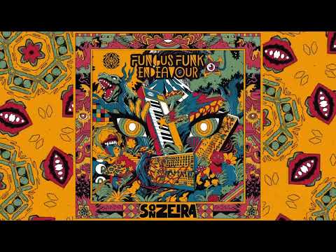 Fungus Funk & Endeavour - It's not real