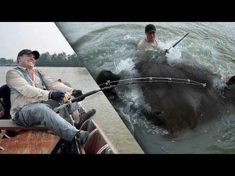 LE PLUS GROS POISSON D'EAU DOUCE AU MONDE - Cyril Chauquet