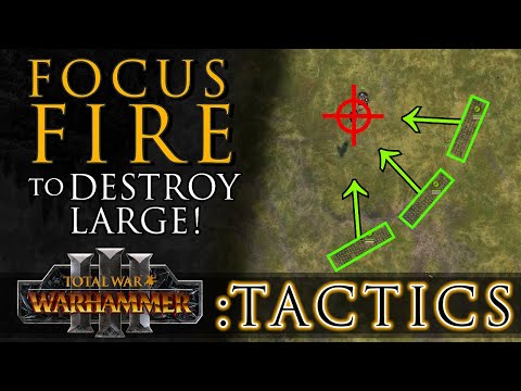 FOCUS FIRE is the THE MOST POWERFUL Anti-Large! - Total War Tactics: Warhammer 3