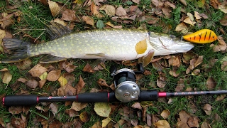 Катушка abu garcia ambassadeur jb