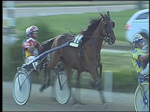 Trotto 04/06/2016 - 8° corsa