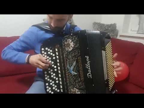 Nikola Zarić - Zvuci Dallapé harmonike