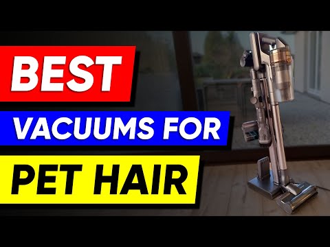 Top 3 Vacuums for Pet Hair in 2023