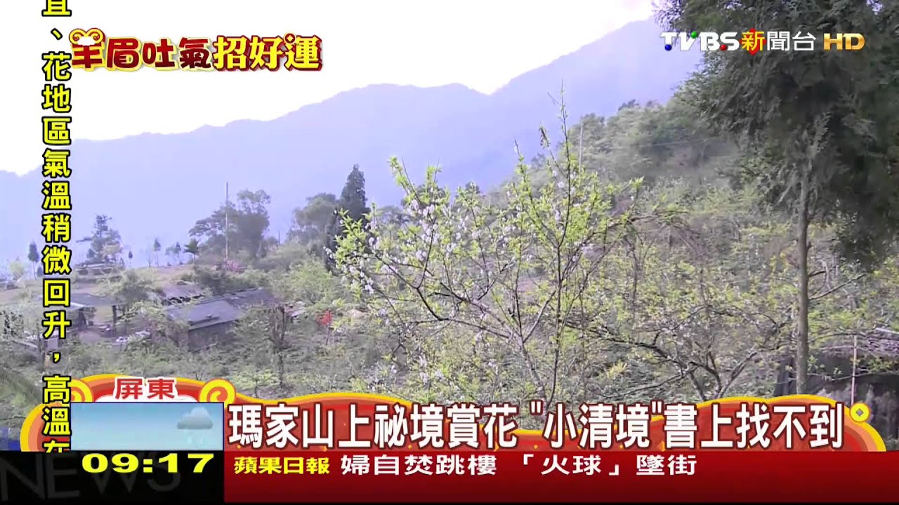 避塞車!包船出海、秘境賞花 體驗悠閒