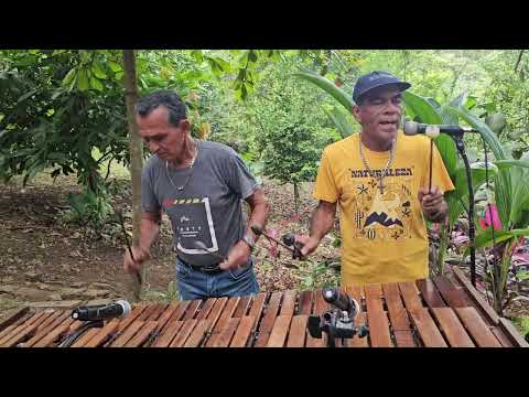 Tercer Encuentro de Marimbistas de Esparza Miramar y Puntarenas 