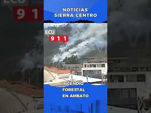 🔥🌲 ALERTA EN AMBATO: INCENDIO FORESTAL ENCENDIÓ LAS ALARMAS EN QUISAPINCHA
