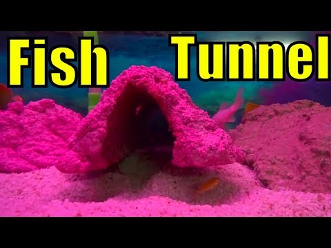 676# Diy Fish Tank Decor | How to Make Aquarium Rocks | Kamal Ka Idea