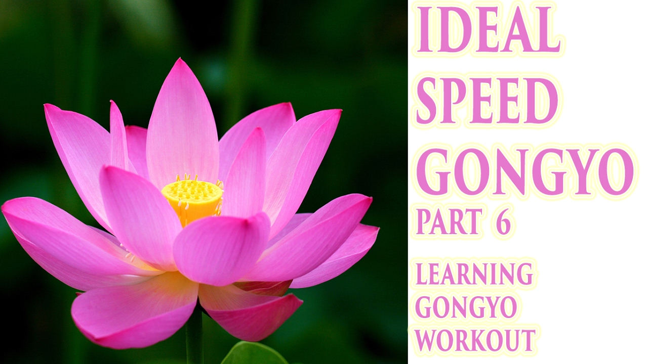 Round 6: Ideal Speed Gongyo