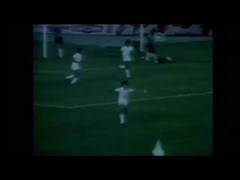 Edmar Bernardes (Cruzeiro) - 08/11/1981 - Atlético-MG 1x1 Cruzeiro - 1 gol