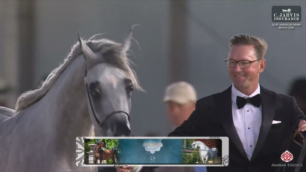 GCAT Americas Miami Beach 2026   Class   Junior Colts Championship