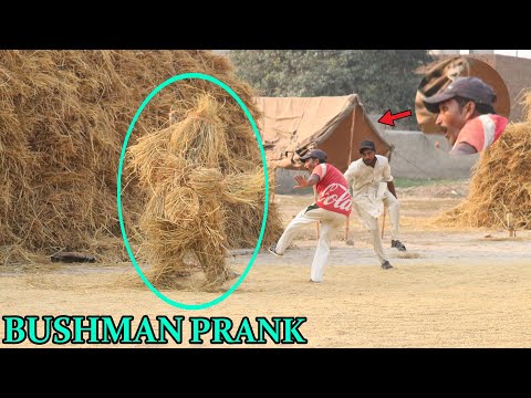 Unbelievable BUSHMAN Prank Fail Reactions That Will Leave You Shock @PendoBrandTv