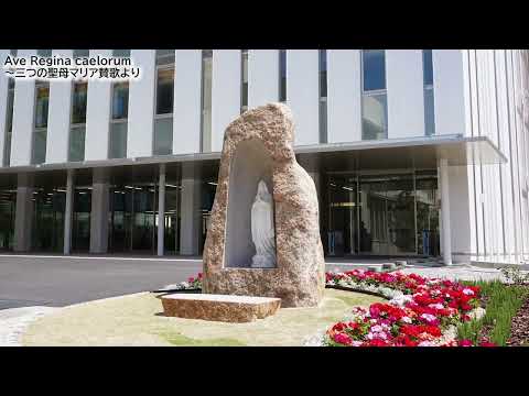 【クラブ・サークル紹介】クオーレプーロ