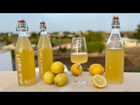 Vino di Limoni fatto in casa - ๐ Come fare il Vino usando i Limoni