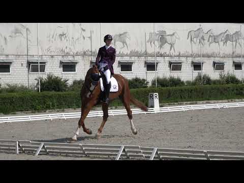 Souvenirs M - P2 69,015% Aromer czerwiec 2020