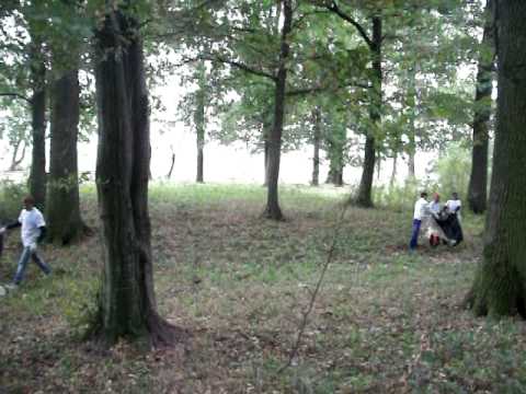 curatenie in tufeni olt 11