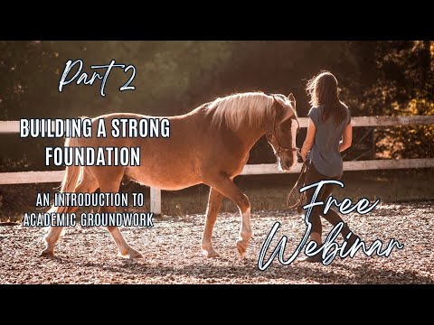 Introduction to groundwork FREE WEBINAR (part 2) with Bettina Biolik