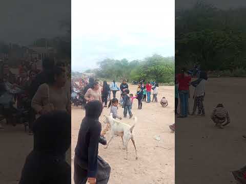 misión nueva Pompeya Chaco