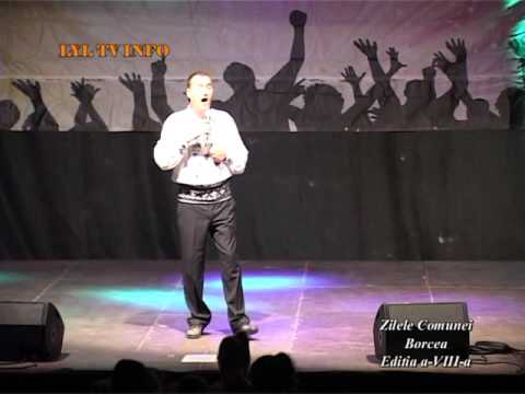 ION ARTUR - CINSTE LOR (Cantec de nunta)