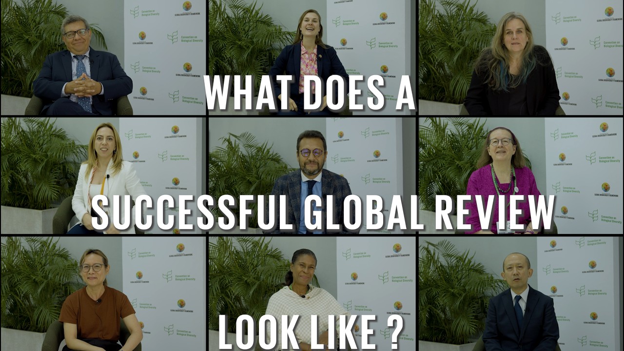 Global Review teaser