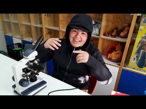 Más allá de la Penumbra