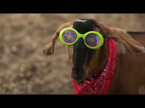 Nicholas Land (Jonathan FeBland) - The Melody of Life from The Seasons (1984, New World Music)