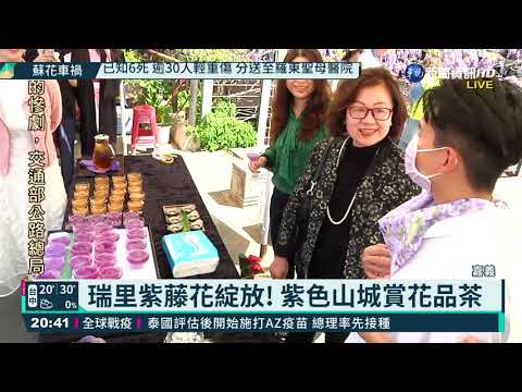瑞里紫藤花綻放! 紫色山城賞花品茶