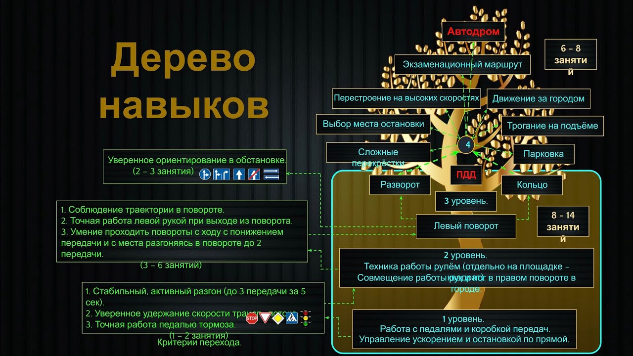 Дерево навыков ученика. 1 ур. Освоение базовых навыков управления автомобиле