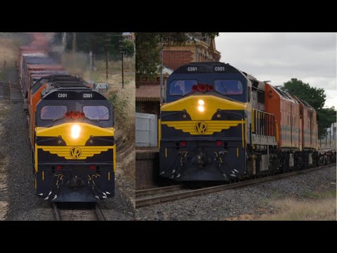 Victorian Railways C501 leading the Dooen with CLFs 7922v/9721v