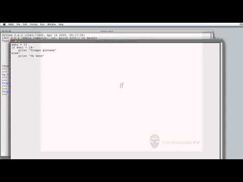 Programmare in Python 2 - 6/28 - La sintassi 1/3