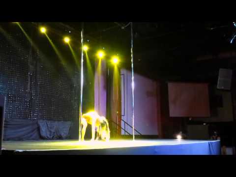 SUBMISSION POLE ART FRANCE 2015 - Sasja Lee