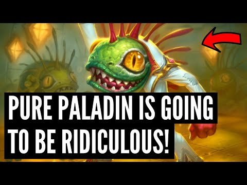 PALADIN LOOKS SCARY! Disco Maul is going to BREAK Pure Paladin!