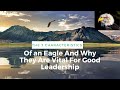 #The 7 Characteristics Of An Eagle And Why They Are Vital For# Good Leadership#Youtube#Shorts
