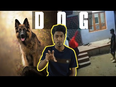 Dog lover safe alert 🚨 | What happend? | explain in tamil | Gowtham Hit | GH 🖐