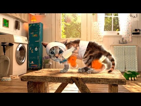 EL GATITO ESTA ENFERMO | LAS AVENTURAS DEL GATITO