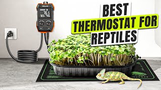 3 BEST Thermostat for Reptile