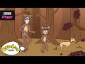 The Bear Song | Nick Cope's Popcast | CBeebies